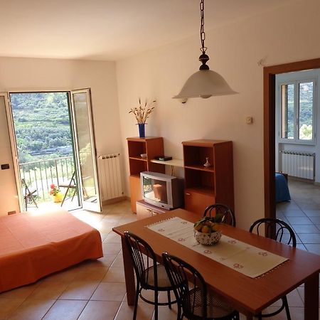 Agriturismo Turlin Vallebona Ngoại thất bức ảnh
