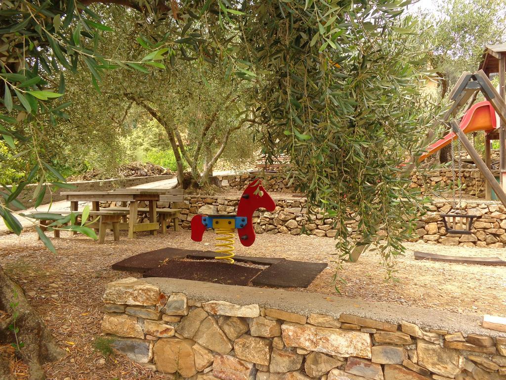 Agriturismo Turlin Vallebona Ngoại thất bức ảnh