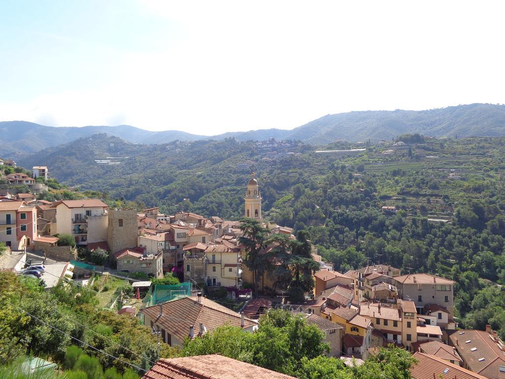 Agriturismo Turlin Vallebona Ngoại thất bức ảnh