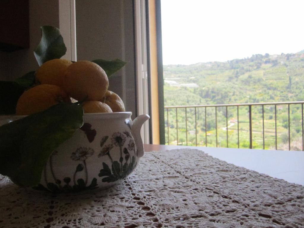 Agriturismo Turlin Vallebona Ngoại thất bức ảnh