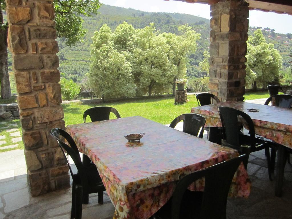 Agriturismo Turlin Vallebona Ngoại thất bức ảnh