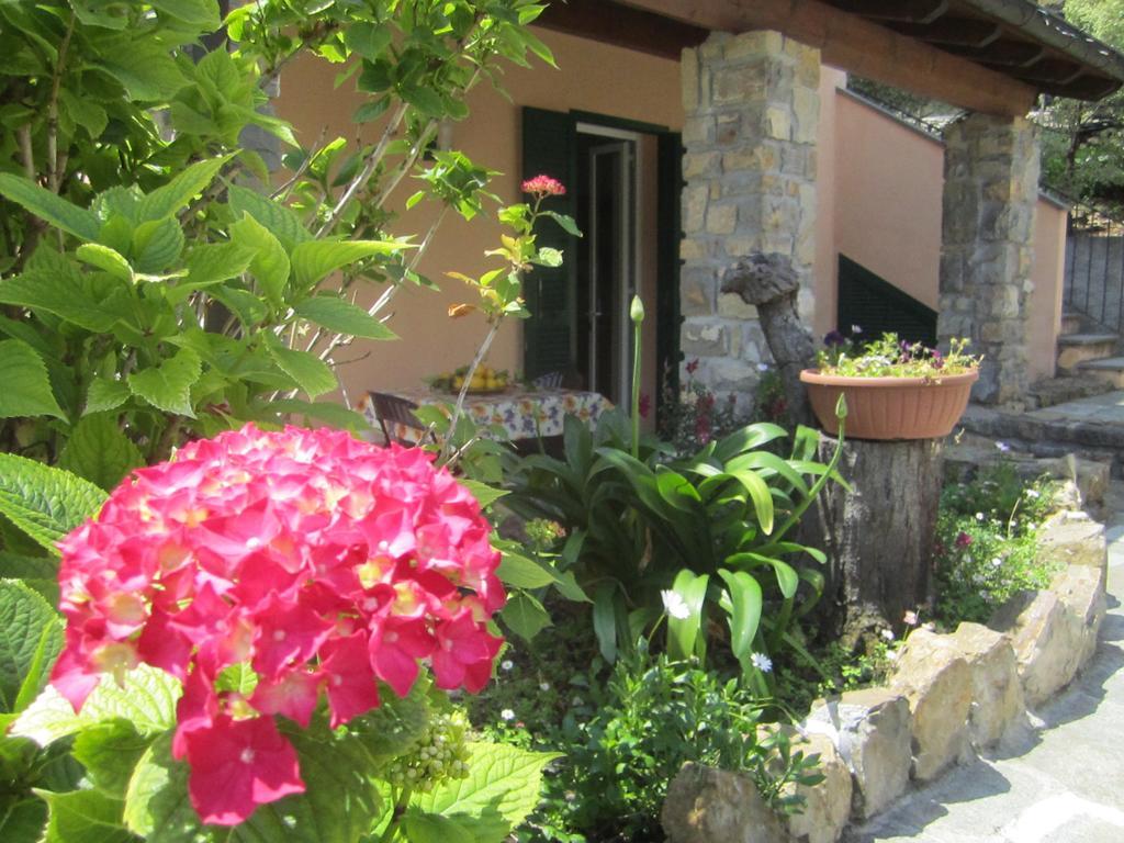 Agriturismo Turlin Vallebona Ngoại thất bức ảnh